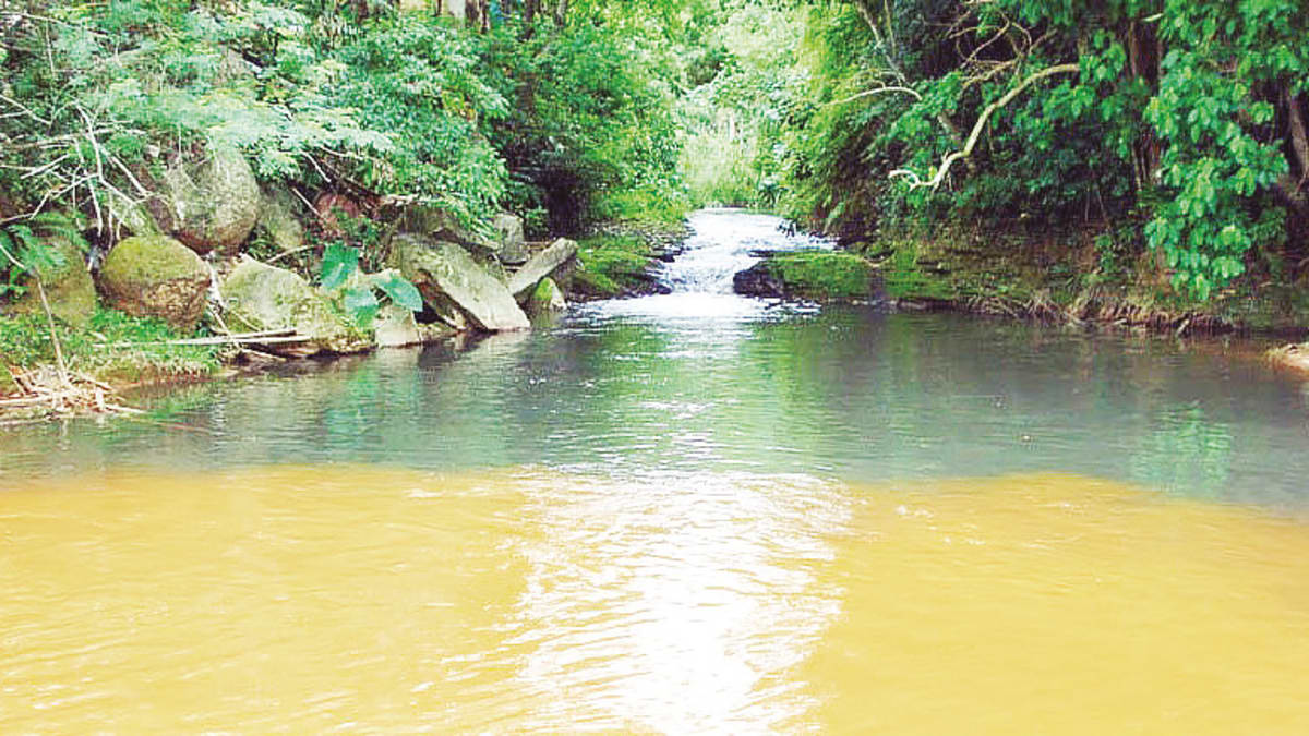 Alerta sobre a água na bacia do Rio Urussanga no Dia Mundial da Água