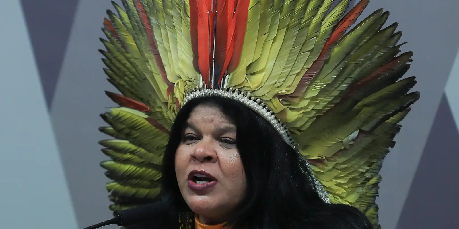 Ministra dos Povos Indígenas internada para investigação de infecção