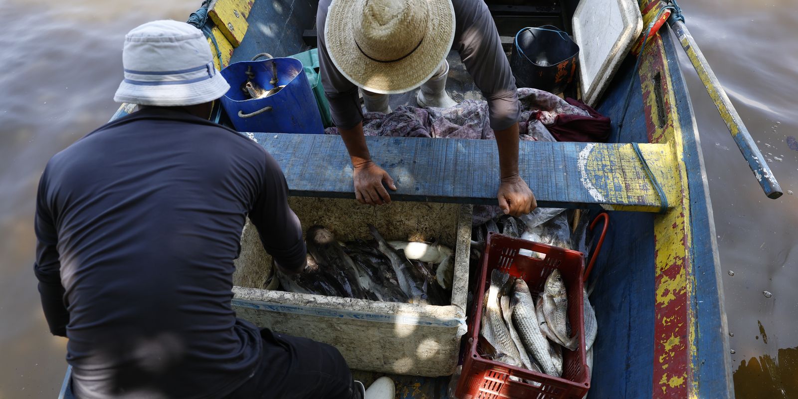Pagamento do sexto lote do seguro-defeso beneficia mais de 110 mil pescadores