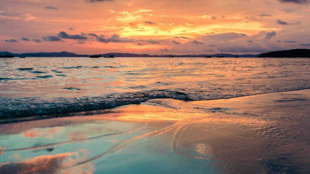 Placa tectônica no Pacífico se rasga e pode alterar previsões de terremotos e tsunamis