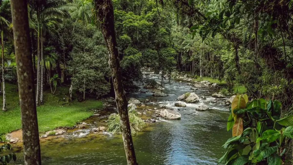 Blumenau lança plataforma digital para monitorar qualidade da água dos rios e ribeirões