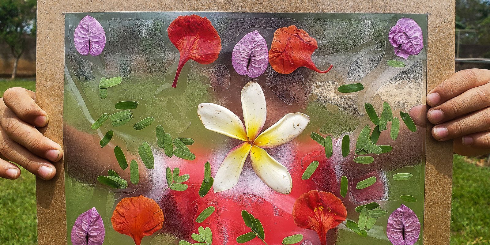 TEDxAmazônia 2026 será no Equador pela primeira vez