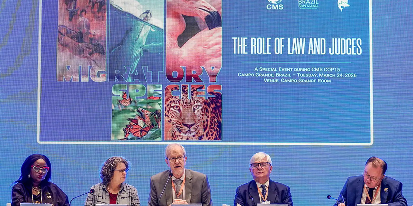 Primeira vara ambiental especializada no Pantanal é criada em Bonito