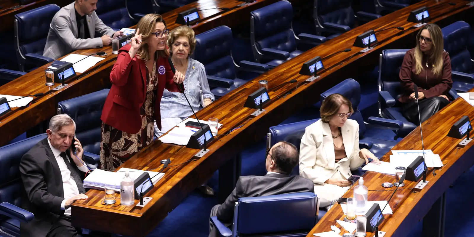 Senado aprova criminalização da misoginia