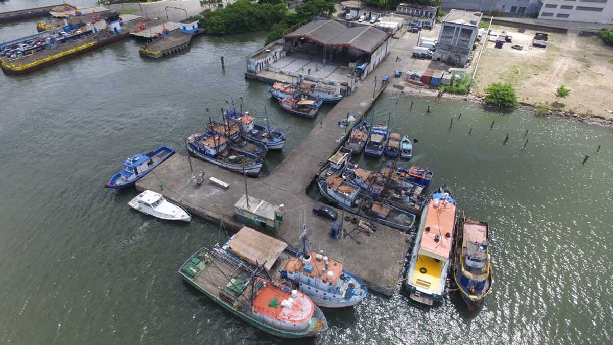 DP World abre vagas no Porto de Santos com oportunidades em diversas áreas