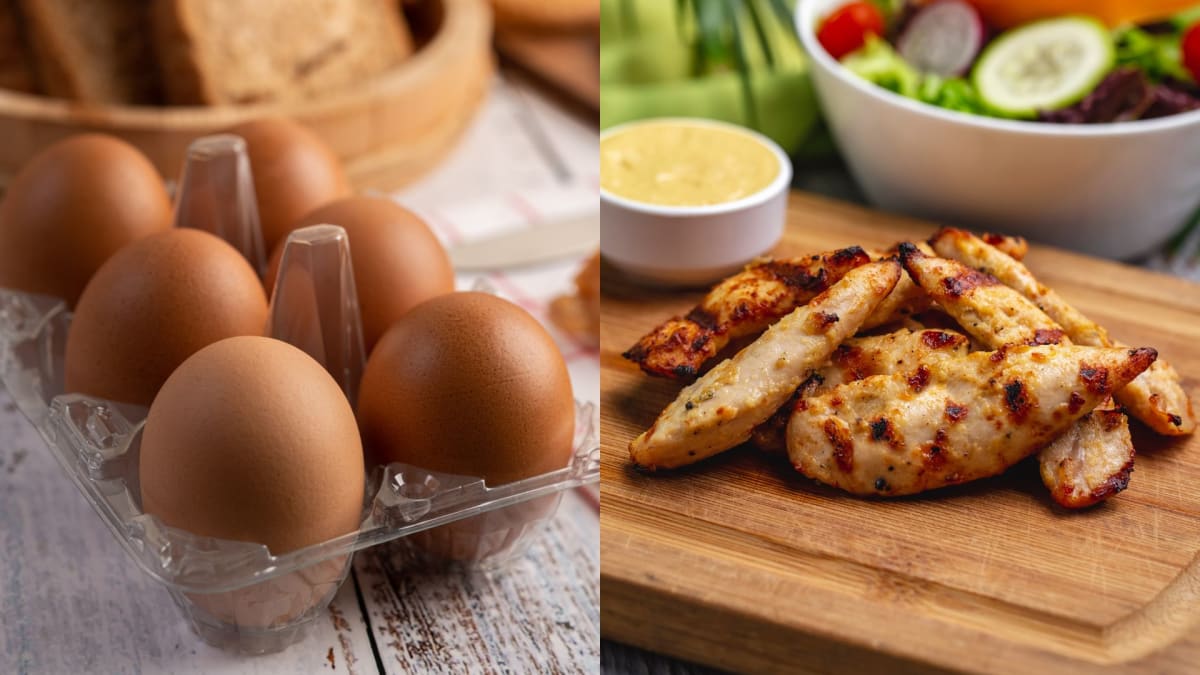 Guerra no Oriente Médio pode elevar preços de ovos, frango e carne suína no Brasil