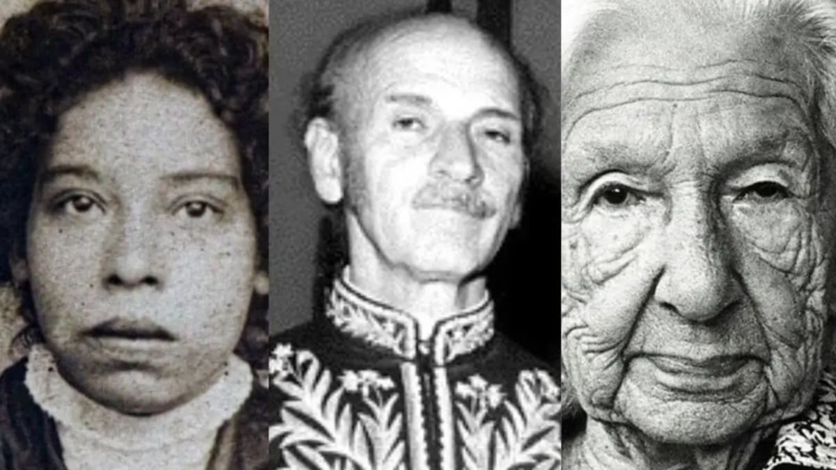 Principais escritores goianos e seu legado para a literatura