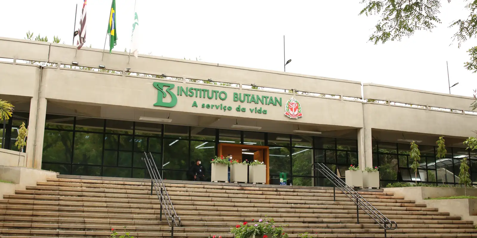 Butantan vai produzir medicamento avançado contra câncer para o SUS