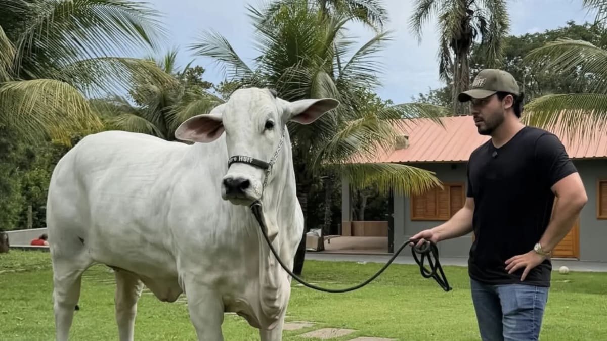 AgroCapital reúne gigantes do agro em Goiânia e projeta R$ 6 bilhões em negócios