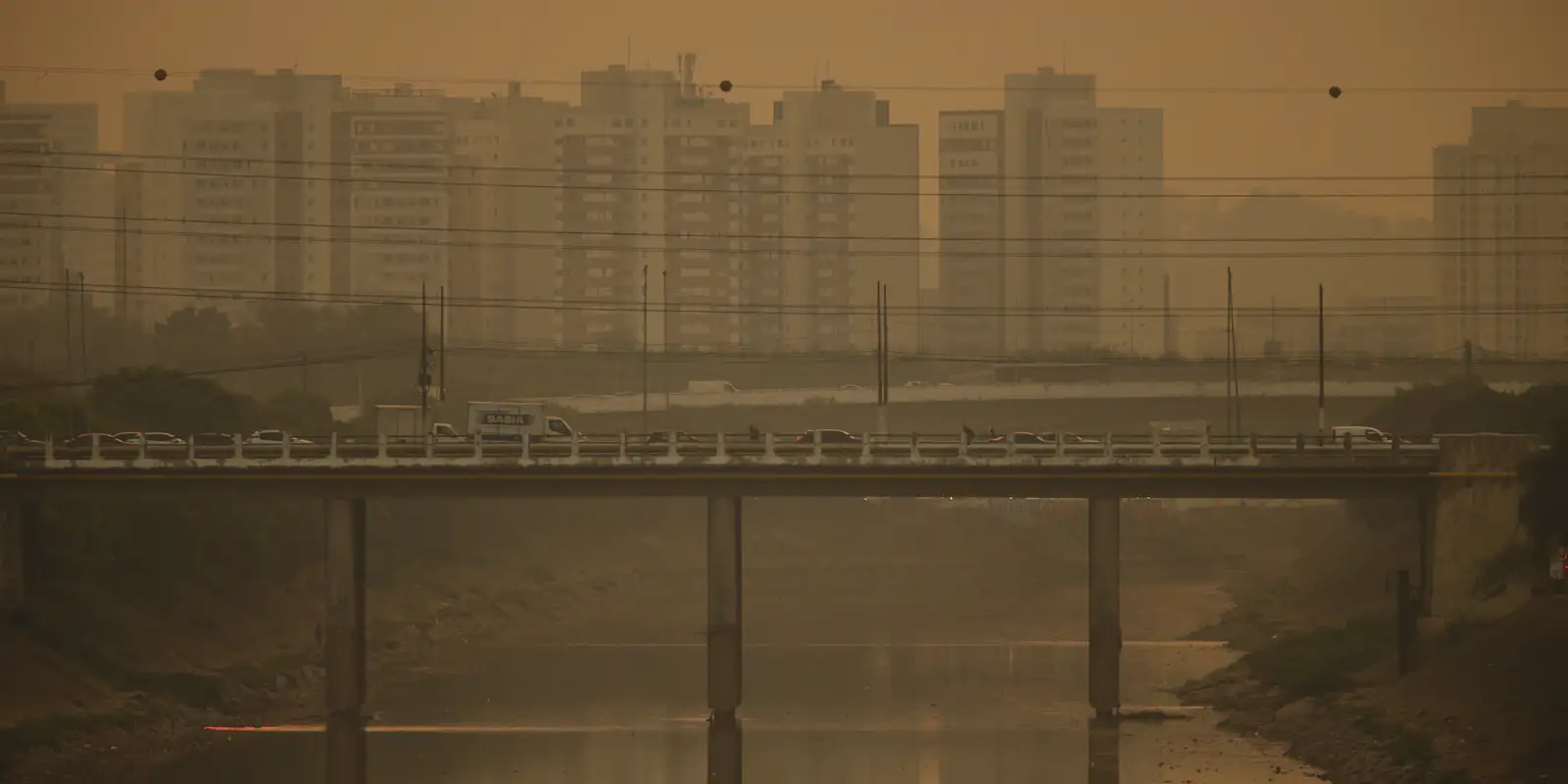 CMN aprova mudanças para fortalecer investimentos sustentáveis