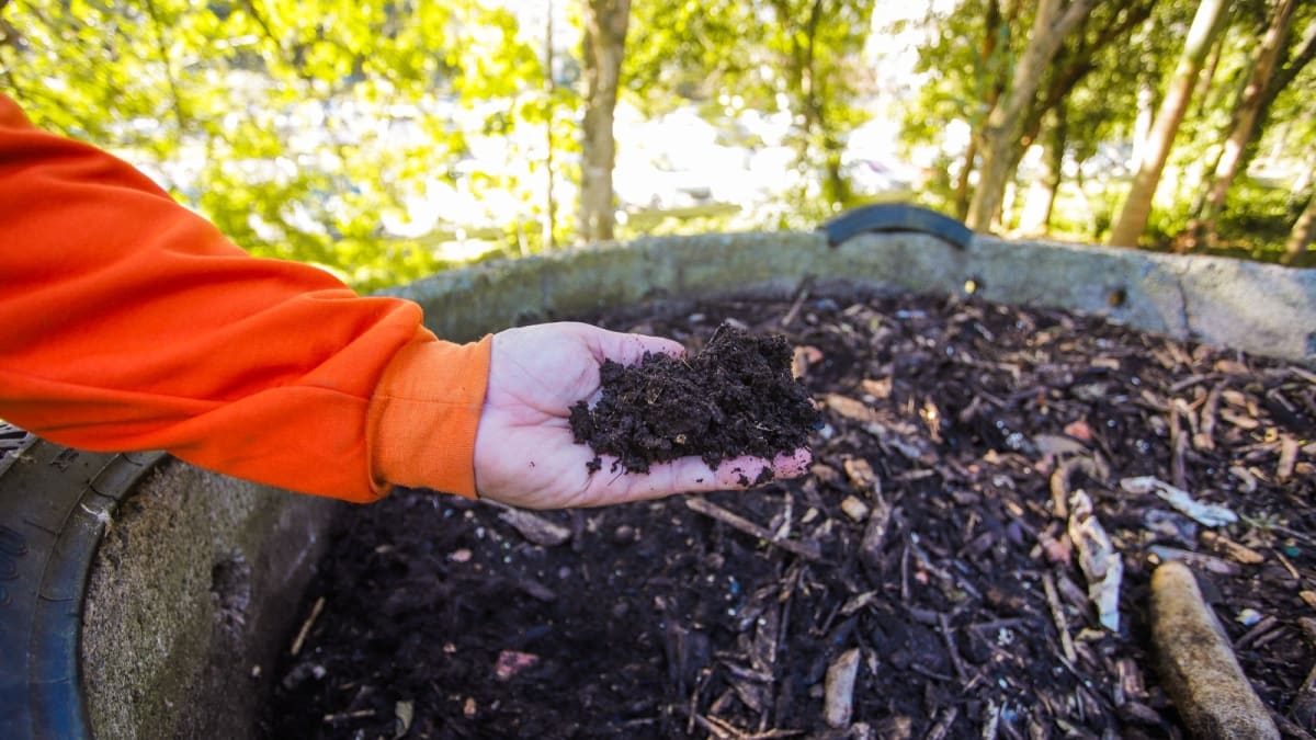 Florianópolis é reconhecida como uma das 20 cidades Lixo Zero do mundo