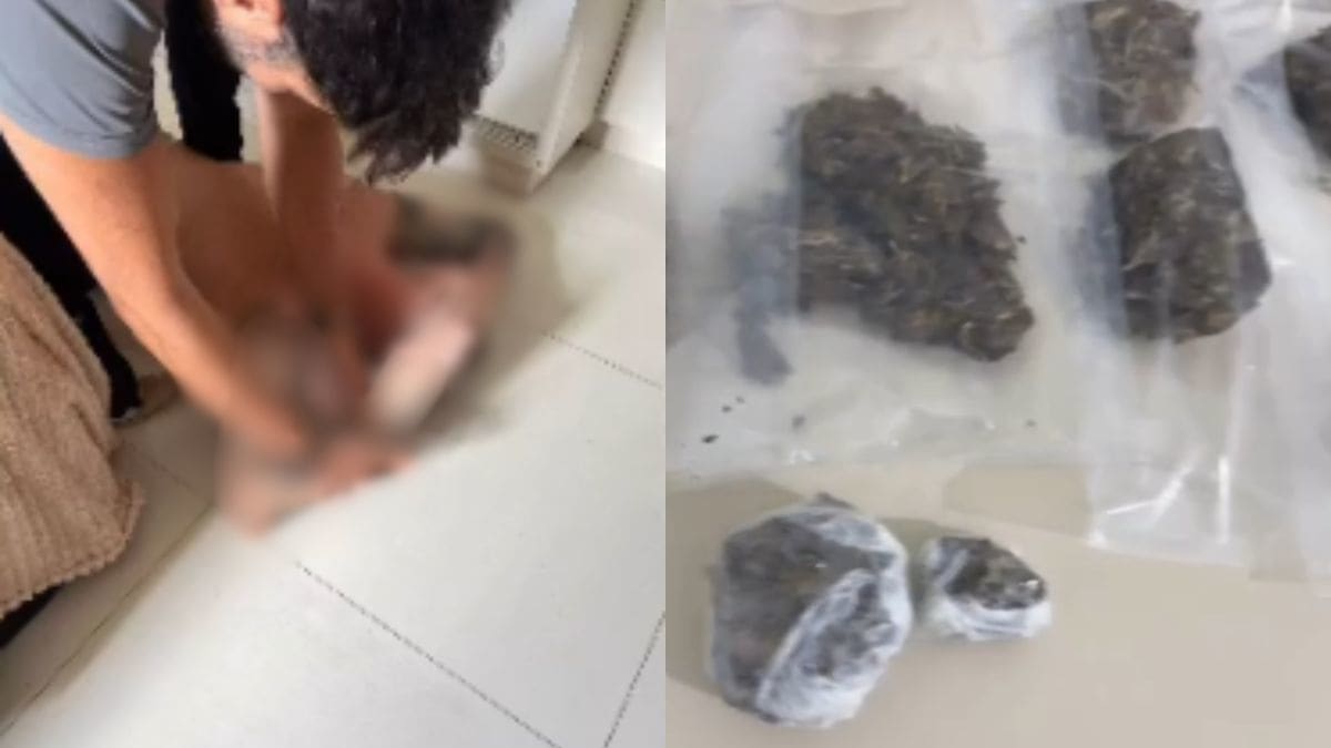 Homem é preso por tráfico de drogas em apartamento no Centro de Blumenau