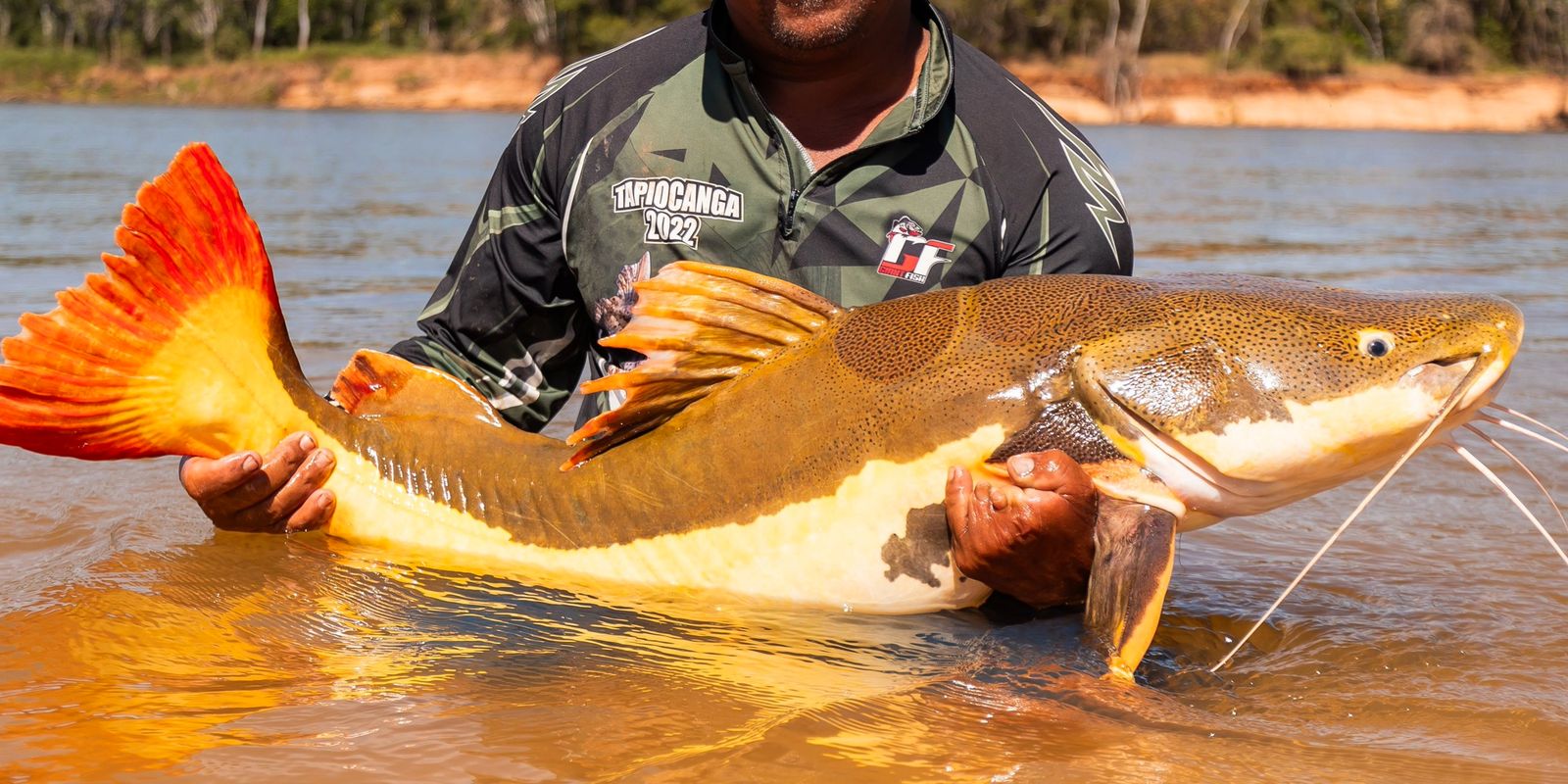 Plano para proteção de bagres e ariranha é aprovado na COP15