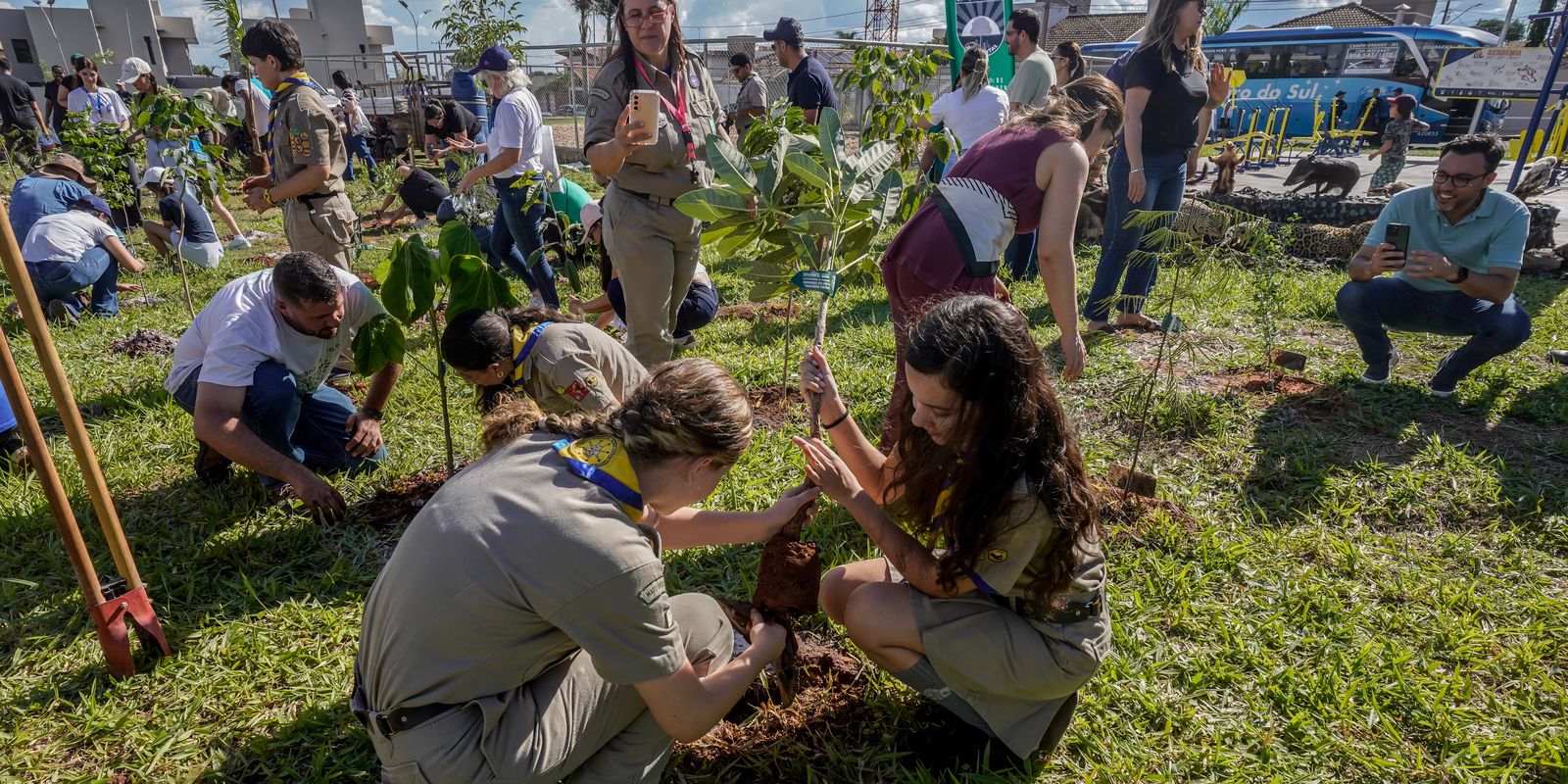 Bosque de árvores nativas marca a COP15 em Campo Grande
