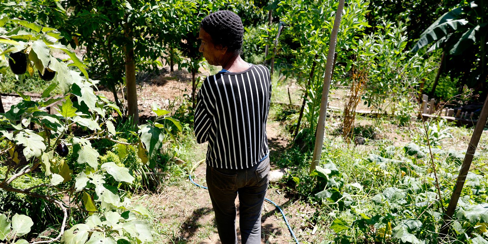 Horta comunitária resgata saberes ancestrais no Morro do Salgueiro