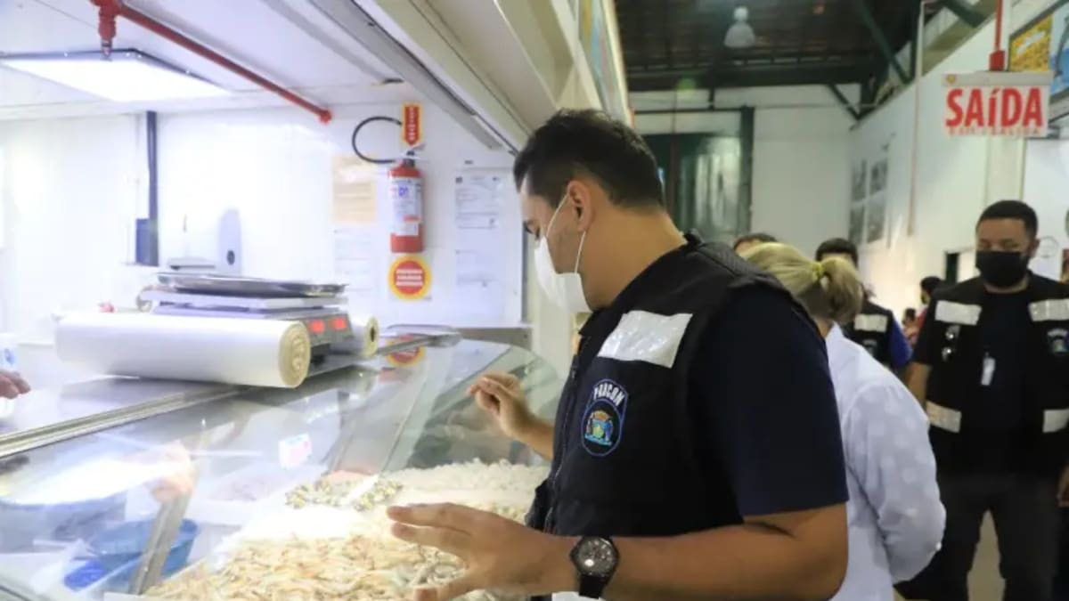 Pesquisa aponta variação de até 137% nos preços de pescados em Florianópolis