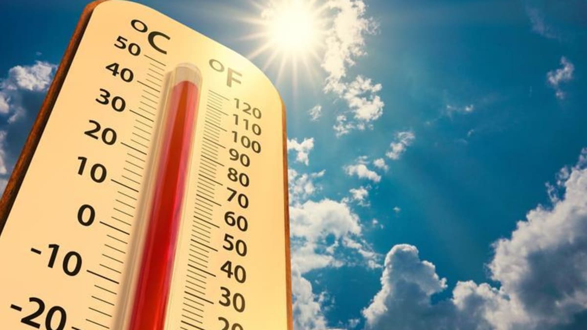 Santa Catarina enfrenta intensa onda de calor com índice de até 49°C em Gravatal