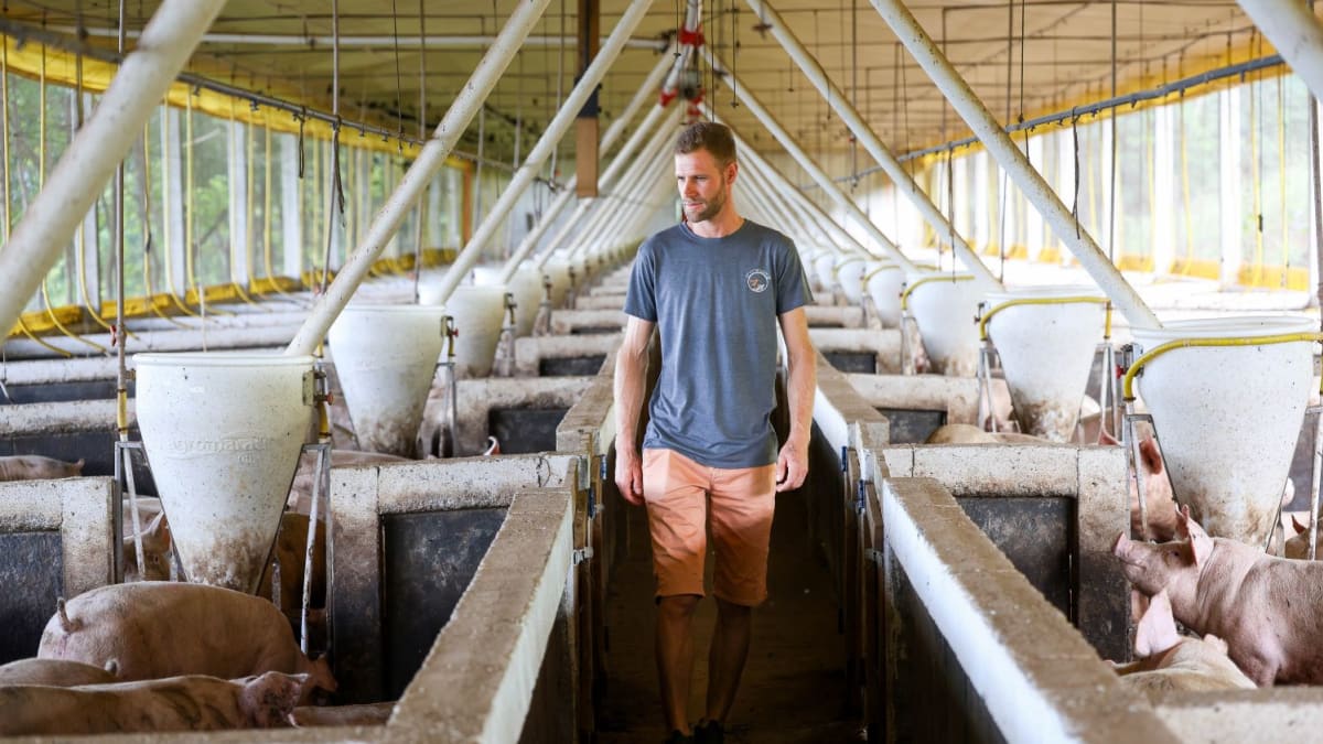 Governo de Santa Catarina lança programa com R$ 1 bilhão em financiamentos para agronegócio