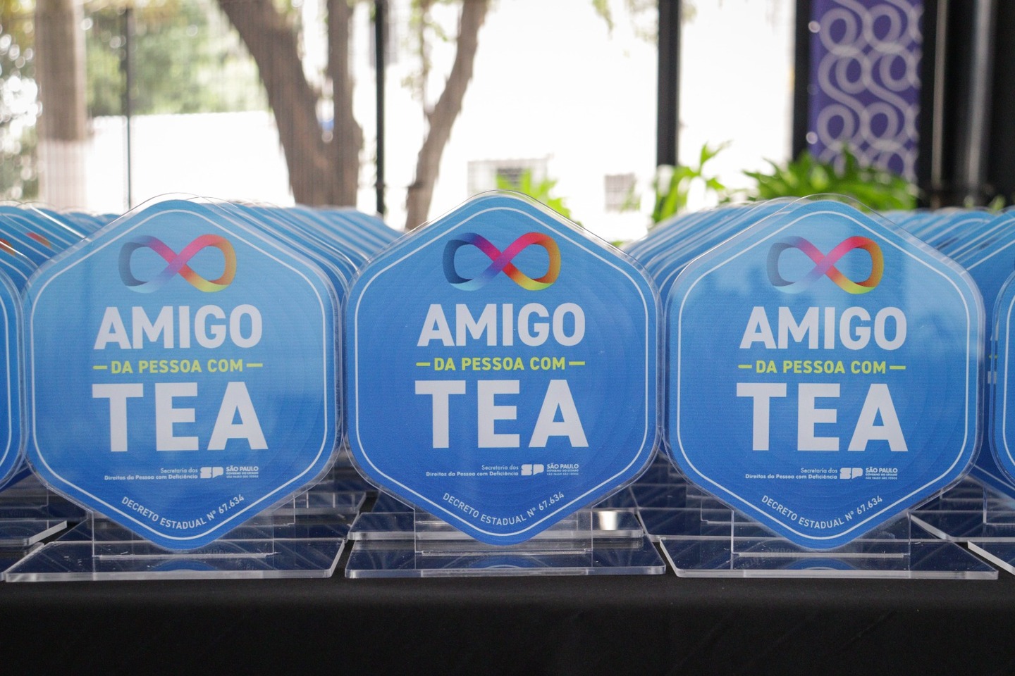 Governo de São Paulo abre inscrições para 2ª edição do Selo Amigo da Pessoa com TEA