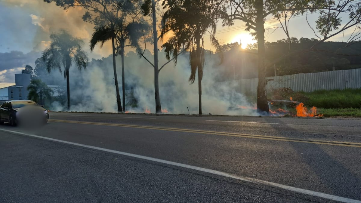 Incêndio em vegetação às margens da BR-282 avança sobre terreno com veículos em Palhoça