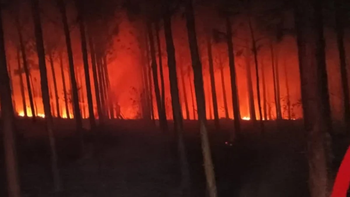 Bombeiros Voluntários de Presidente Getúlio combatem incêndio em reflorestamento
