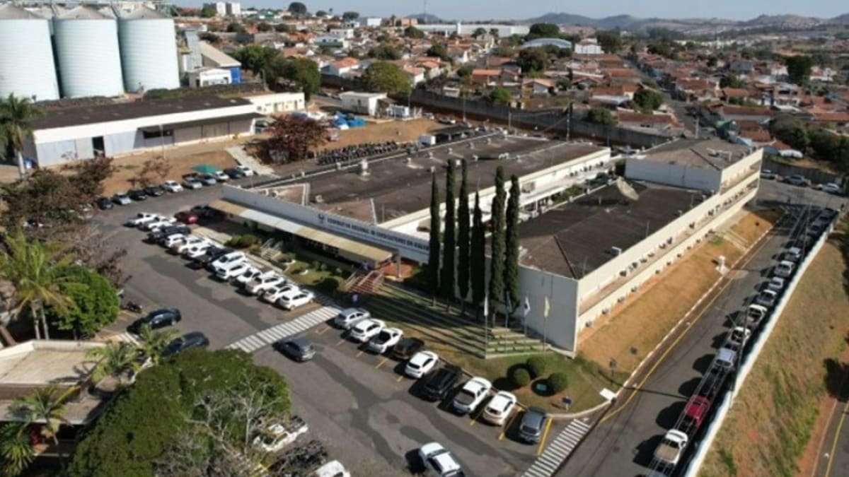 Cooxupé fatura R$ 17 bilhões e distribui R$ 185 milhões a cooperados