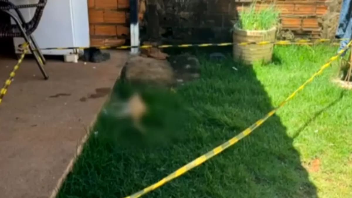 Quatro gatos são encontrados mortos em vizinhança onde menina de 9 anos morreu por envenenamento em Alto Horizonte