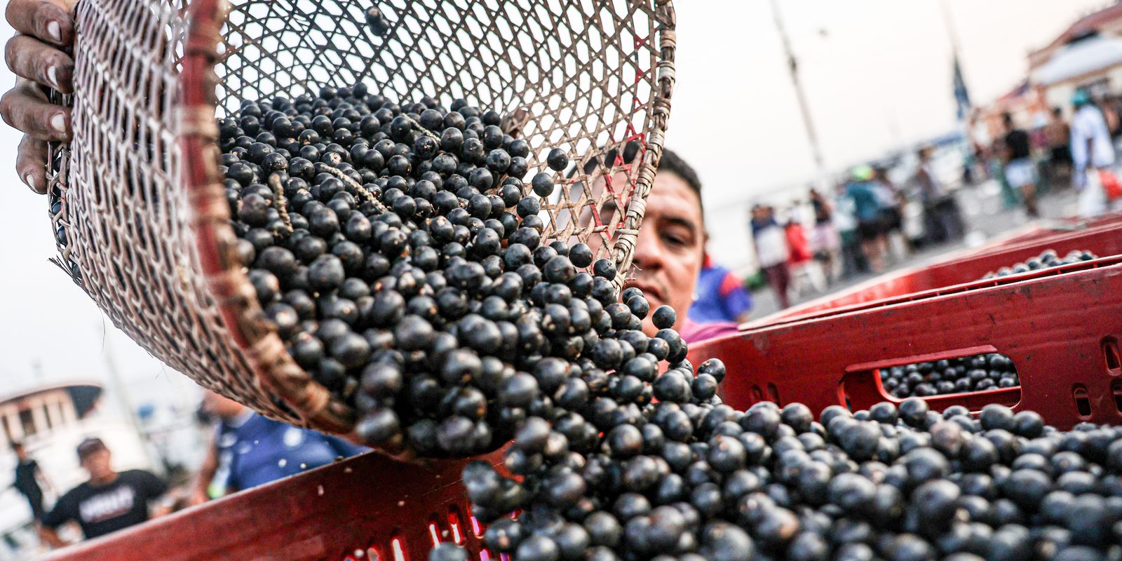 Alta no preço do açaí e peixes afeta Belém na Semana Santa