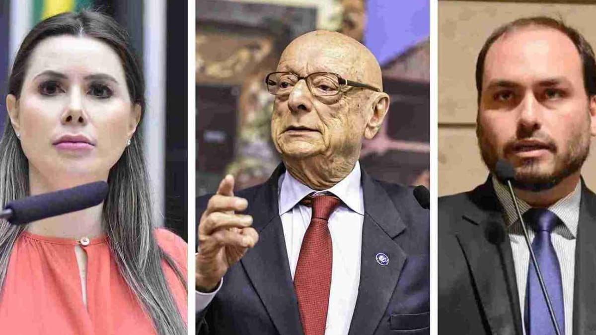 Pesquisa aponta intenções de voto para senador em Santa Catarina nas eleições de 2026