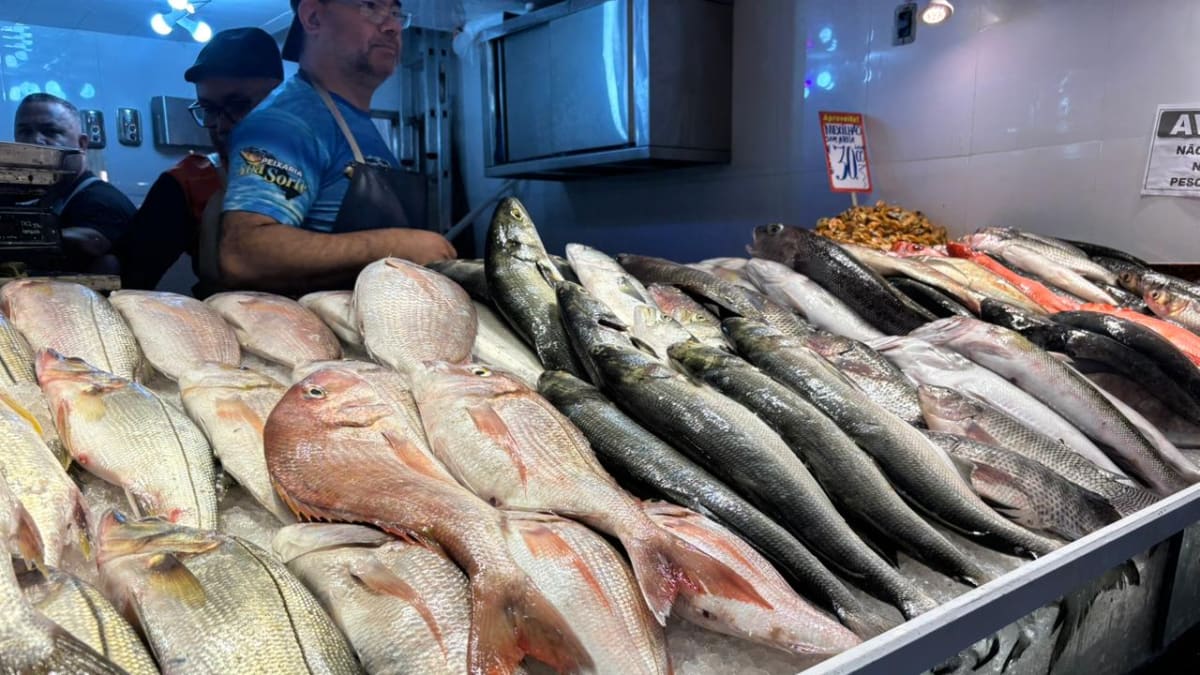 Governo do Estado intensifica fiscalização para garantir qualidade do pescado na Semana Santa