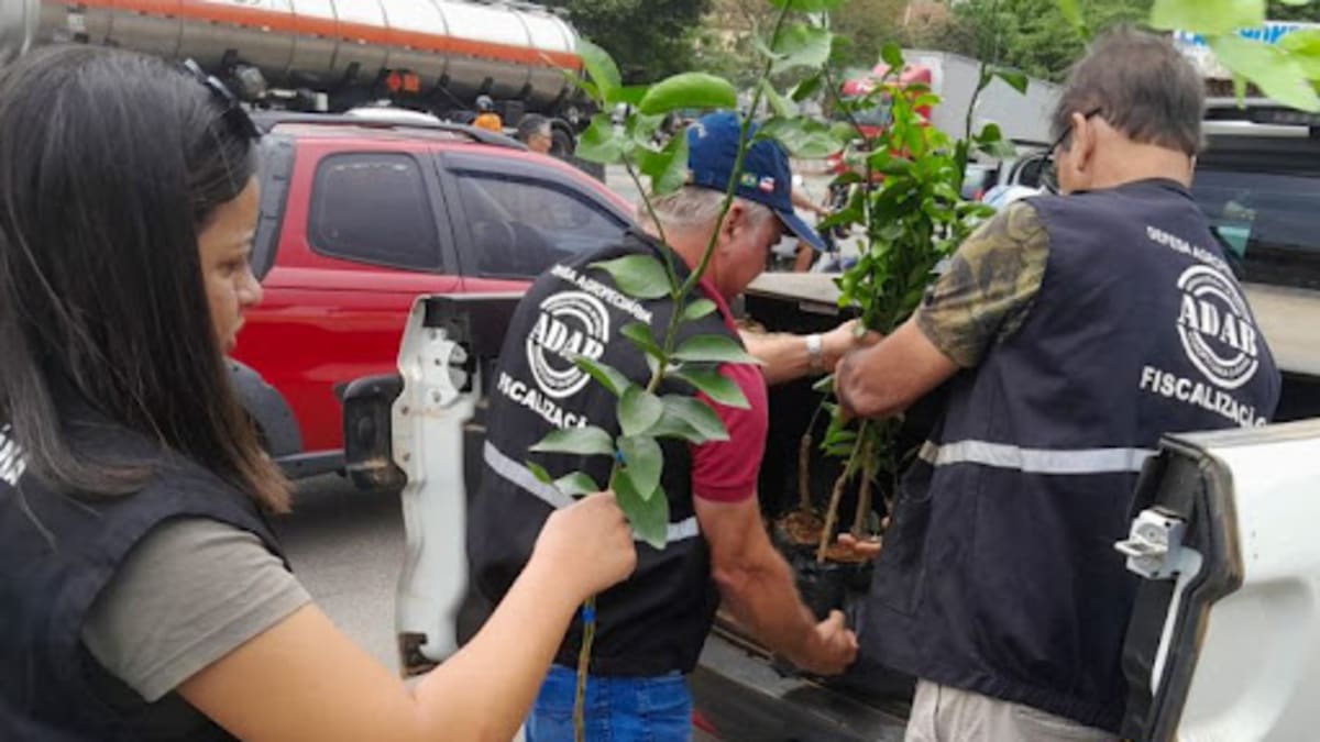 Governo da Bahia prorroga inscrições do concurso da ADAB até 5 de abril