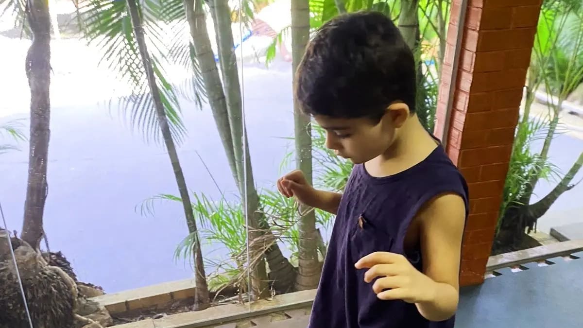 Mãe relata desafios e avanços no desenvolvimento de gêmeos com autismo