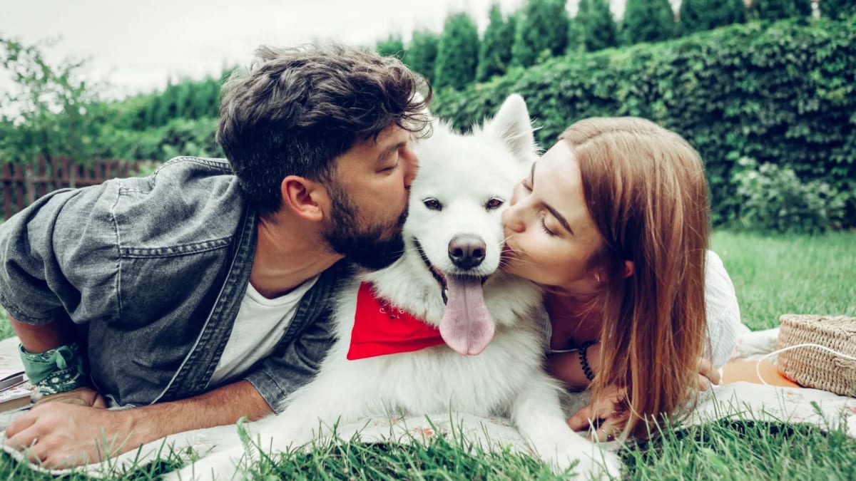 Senado aprova guarda compartilhada de animais de estimação em casos de separação