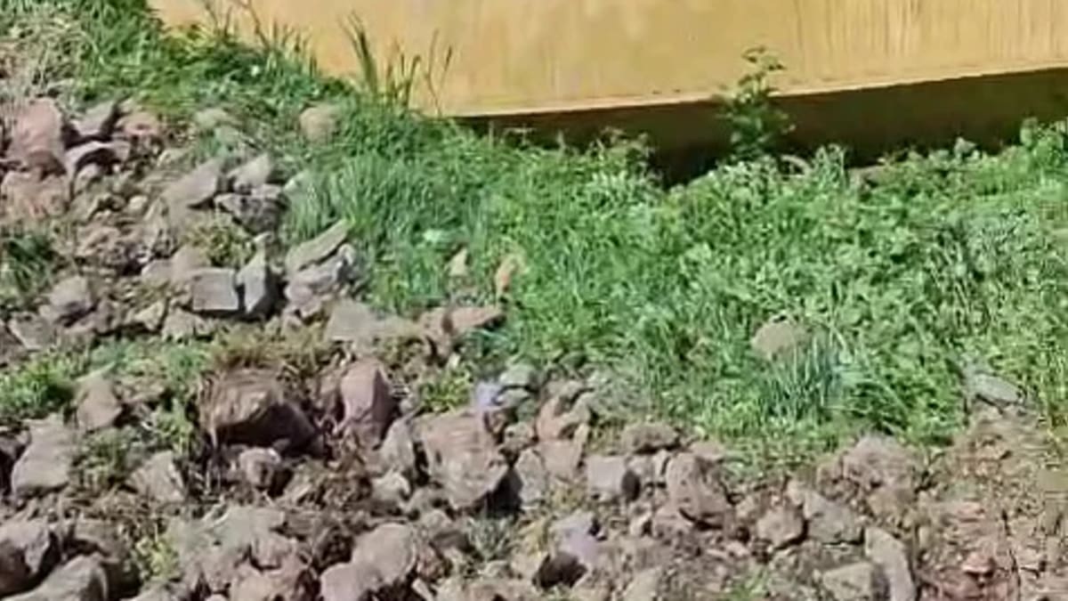 Carreta sai da pista e duas pessoas ficam feridas na BR-470 em Agronômica