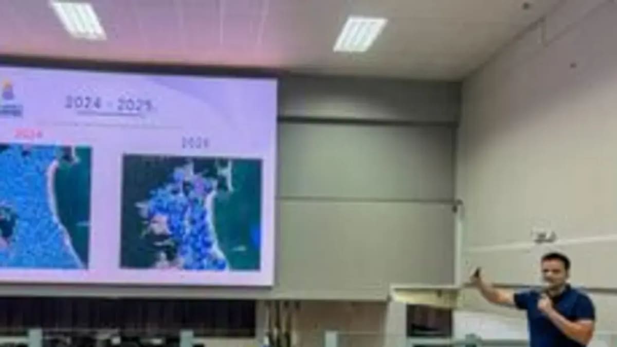 Balneário Camboriú registra redução de 94% nos casos de dengue no primeiro trimestre de 2026