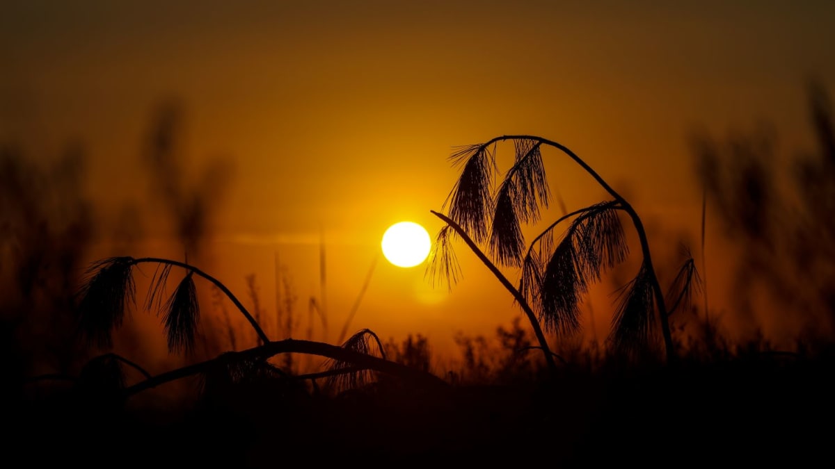 Feriado de Páscoa em Santa Catarina terá sol e calor, com mudança no tempo a partir de segunda-feira