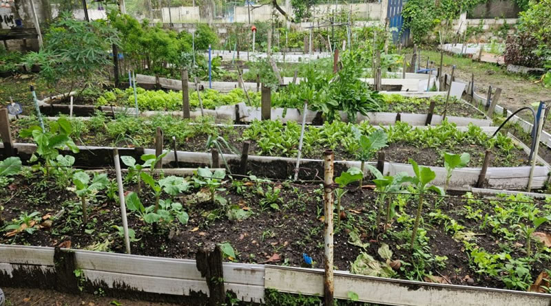 Diocese e CATI fortalecem economia solidária na Baixada Santista com projetos comunitários