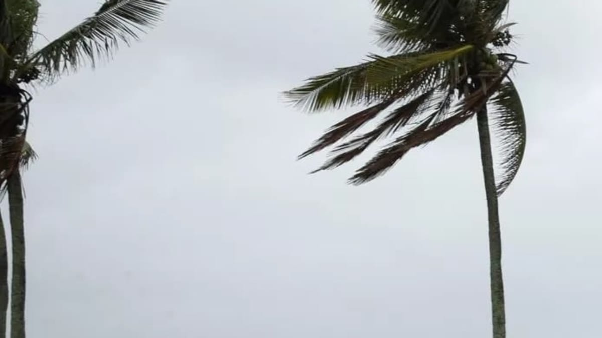 Ciclone extratropical e frente fria avançam sobre o Brasil entre 6 e 10 de abril