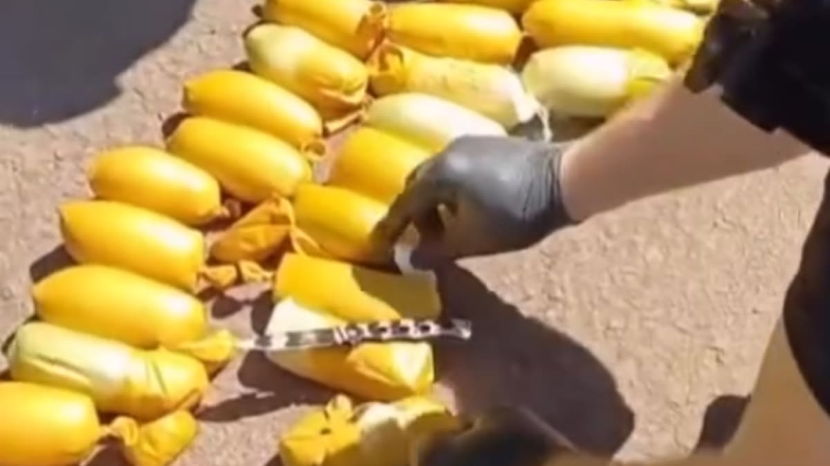 Tanque de combustível vira esconderijo de cocaína em moto abordada na SC-480