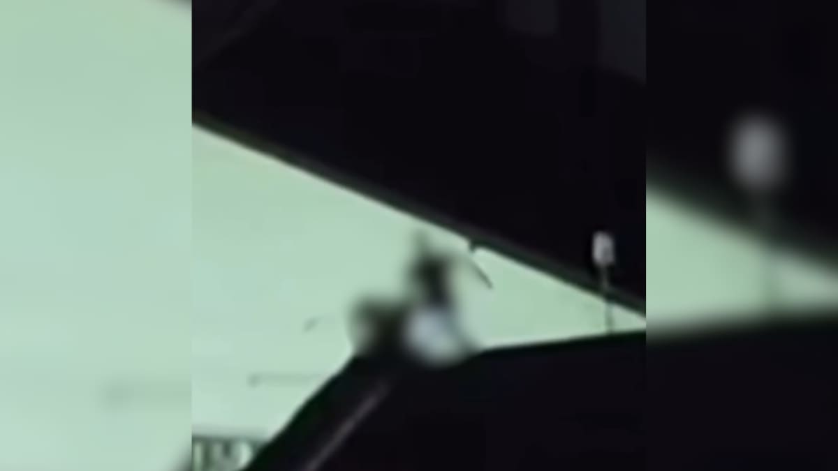 Suspeito sobe em telhado para roubar casa e é contido por morador em Joinville