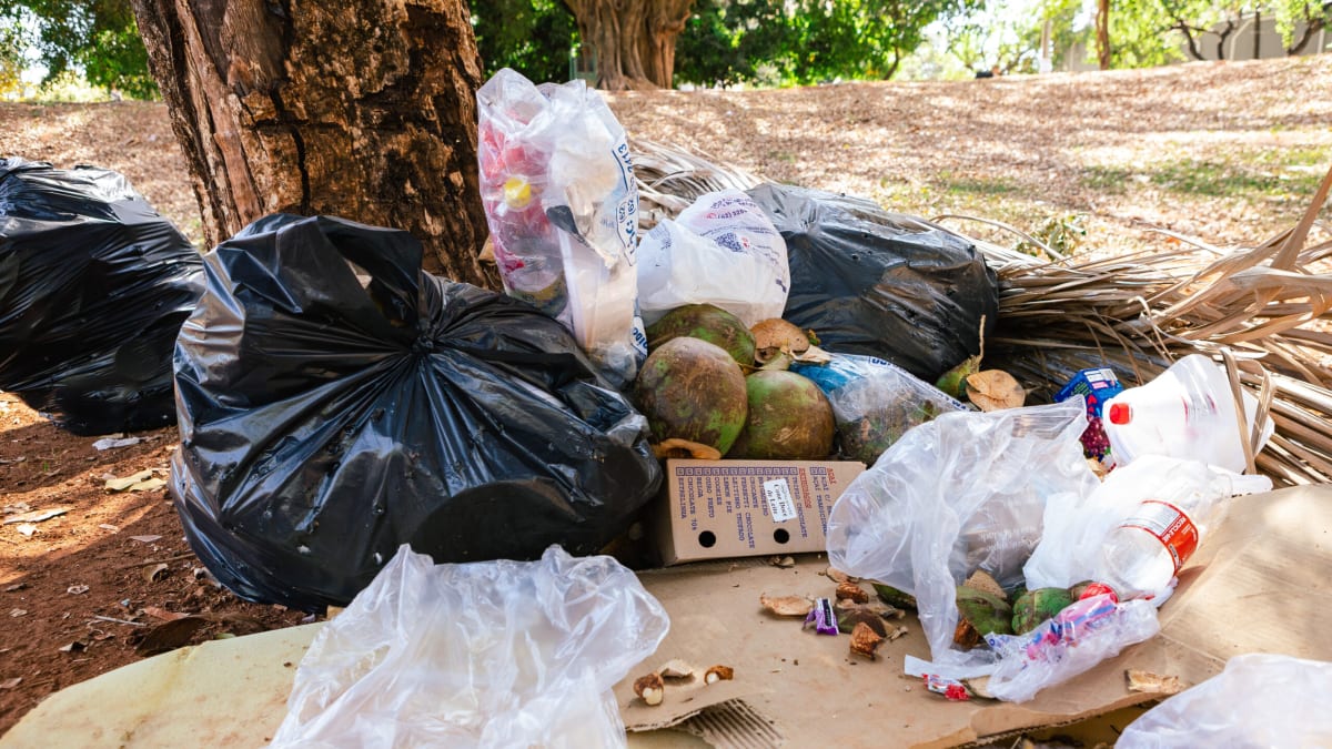 Projeto prevê recompensa de até cinco salários mínimos por denúncia de descarte irregular de lixo em Goiânia