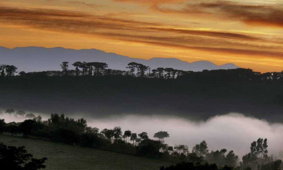 Espírito Santo do Pinhal: refúgio no interior de SP com clima ameno e história do café