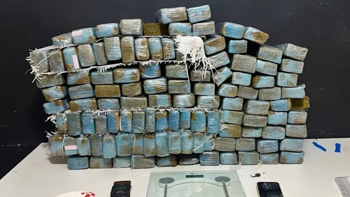 Barbearia de Itajaí escondia quase 90 kg de maconha em diferentes pontos do imóvel