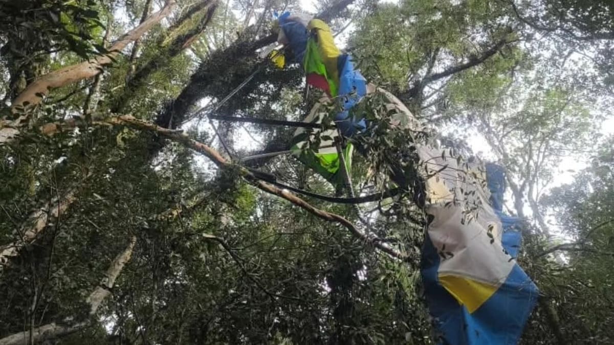 Piloto de ultraleve morre após queda em área de vegetação no interior de Guaporé