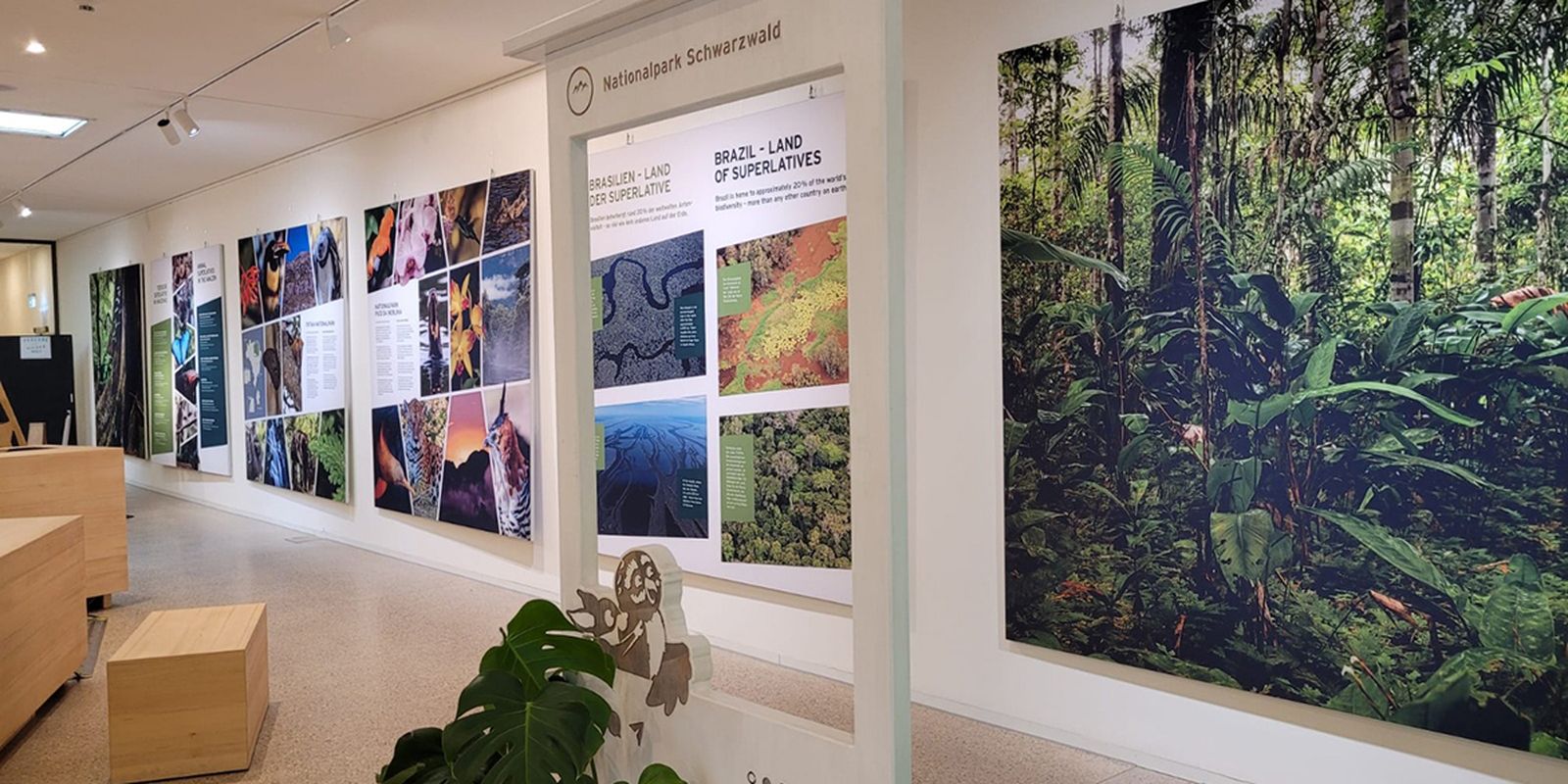 Exposição na Alemanha destaca biodiversidade de parques nacionais brasileiros