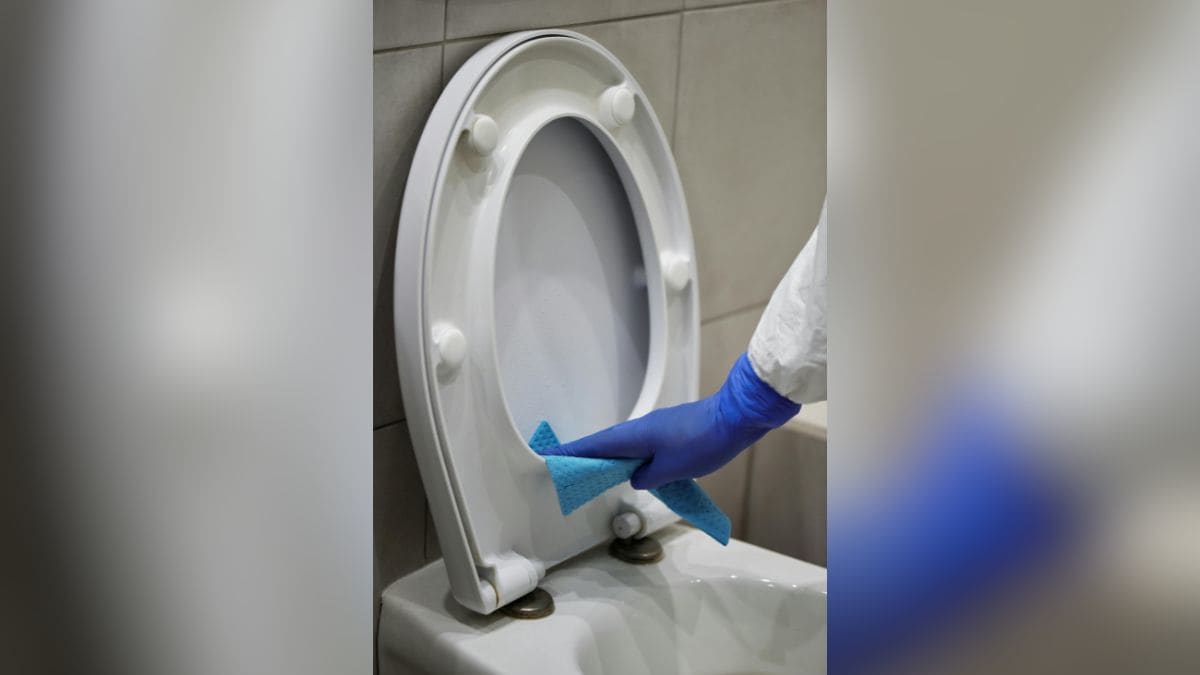 A história do vaso sanitário e a evolução do saneamento nas civilizações