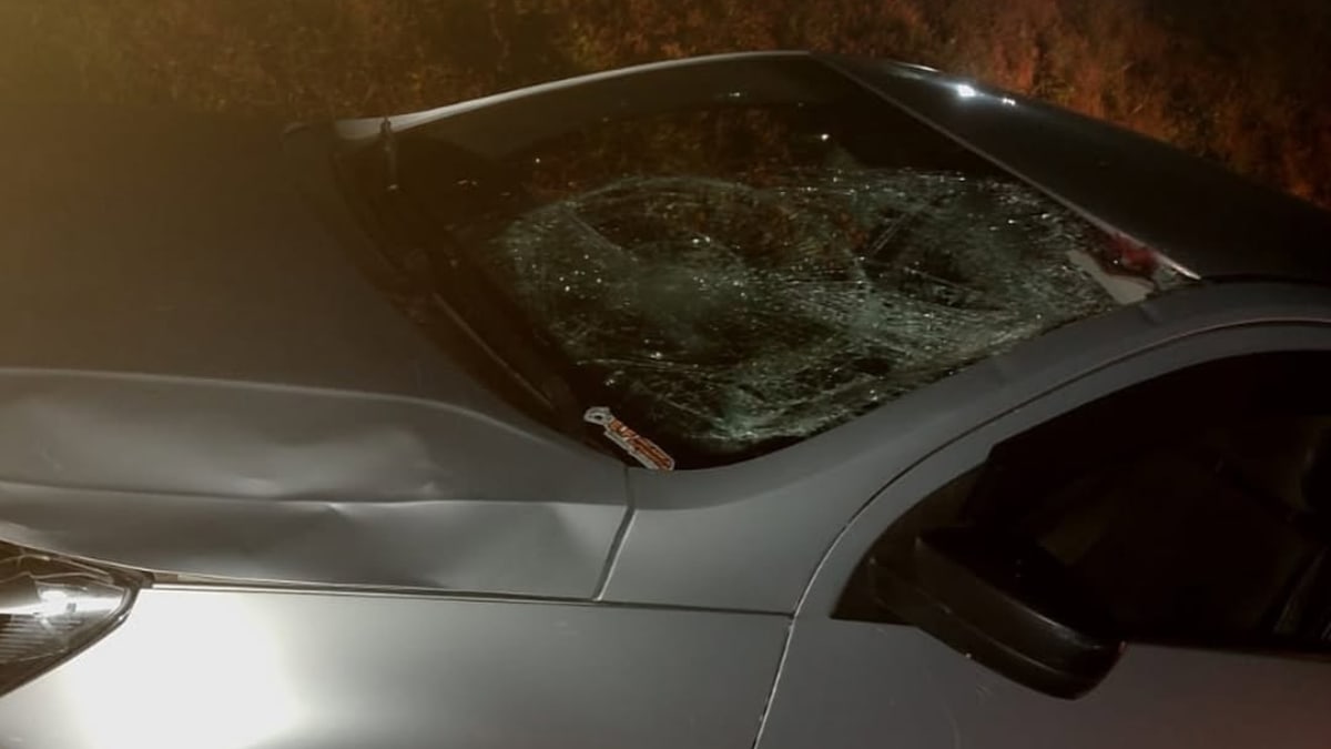 Ciclista morre atropelado na BR-116 em trecho pouco iluminado em Santa Catarina