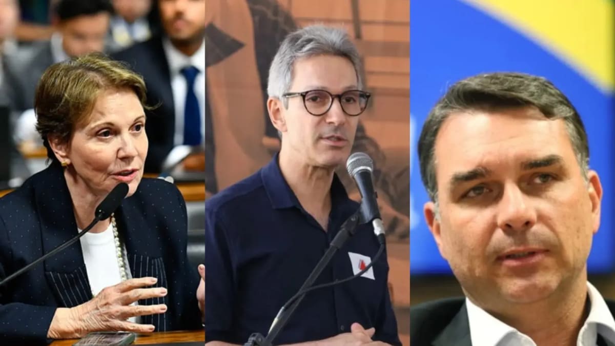 Divisão na direita sobre vice de Flávio Bolsonaro entre Tereza Cristina e Romeu Zema