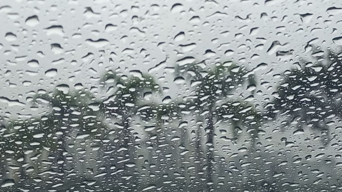 Defesa Civil de Joinville alerta para chuva persistente e risco de alagamentos