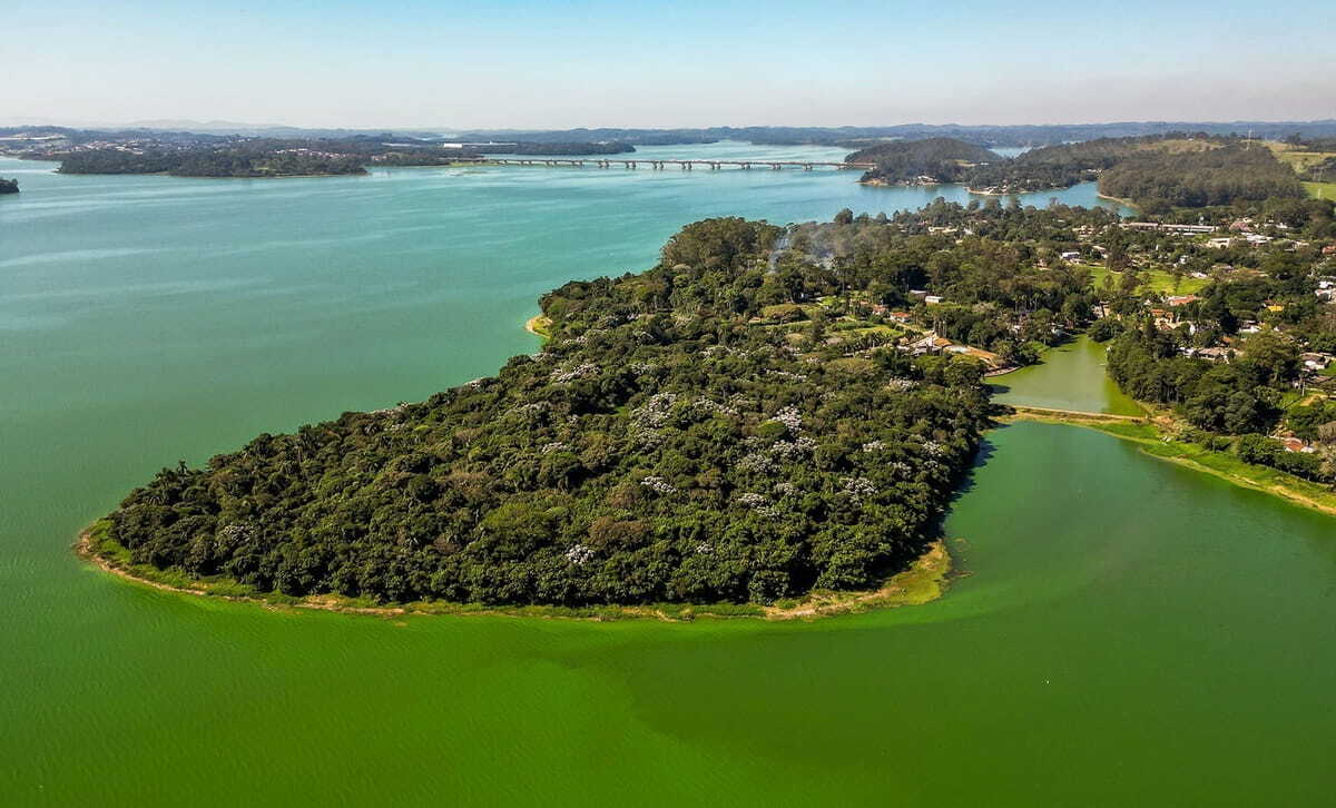 Represa Billings: peça-chave no abastecimento e energia da Região Metropolitana de São Paulo